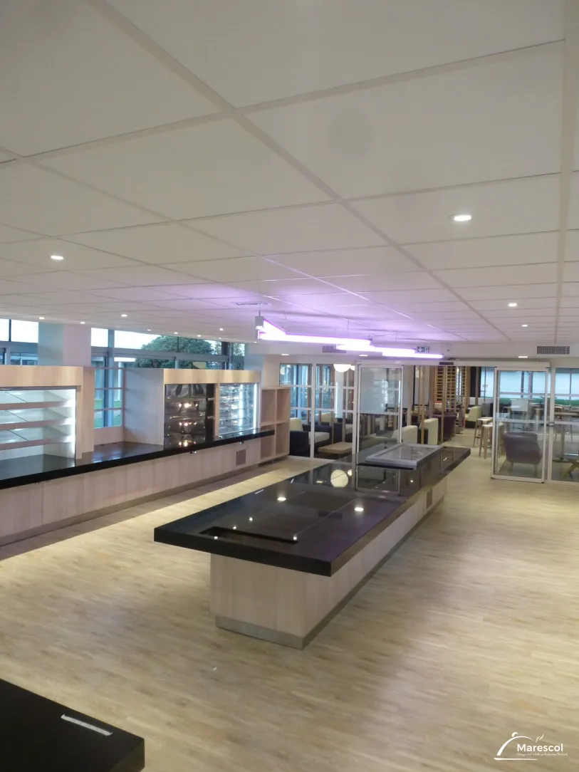 EM Lyon Business School